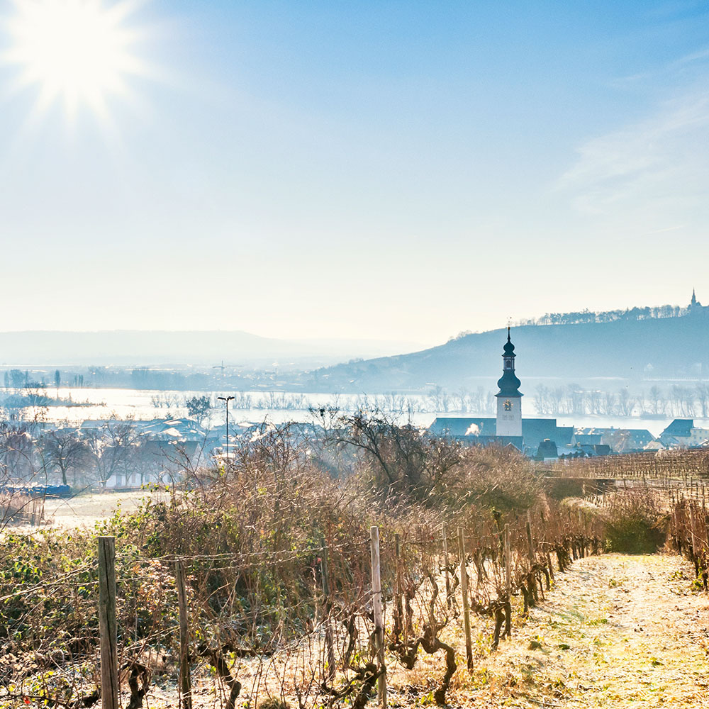 Enchanting Rhine and Yuletide Markets River Cruise
