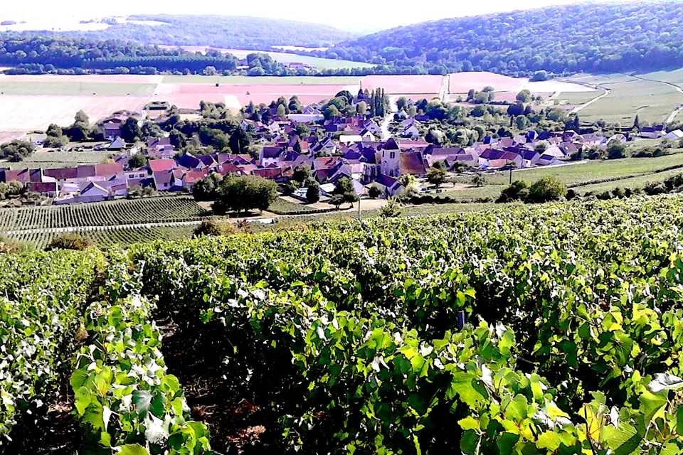 Johanna: A Chic Canal Journey Through France’s Wine and Heritage Regions
