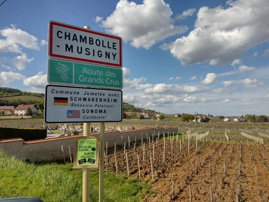 Grand Cru: A Refined Journey Through Burgundy’s Finest Landscapes and Flavours
