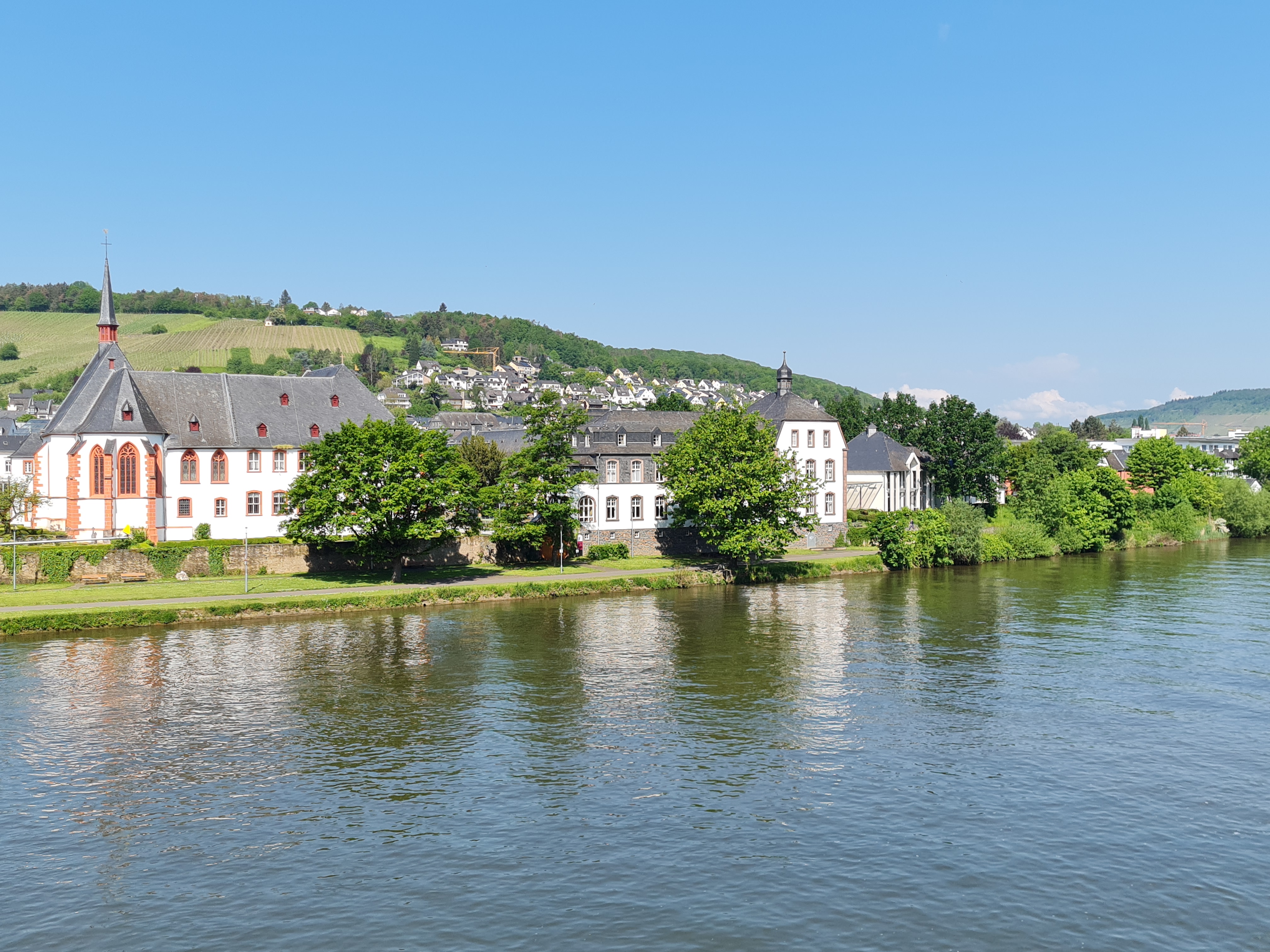 Gastronomy of the Rhine & Moselle
