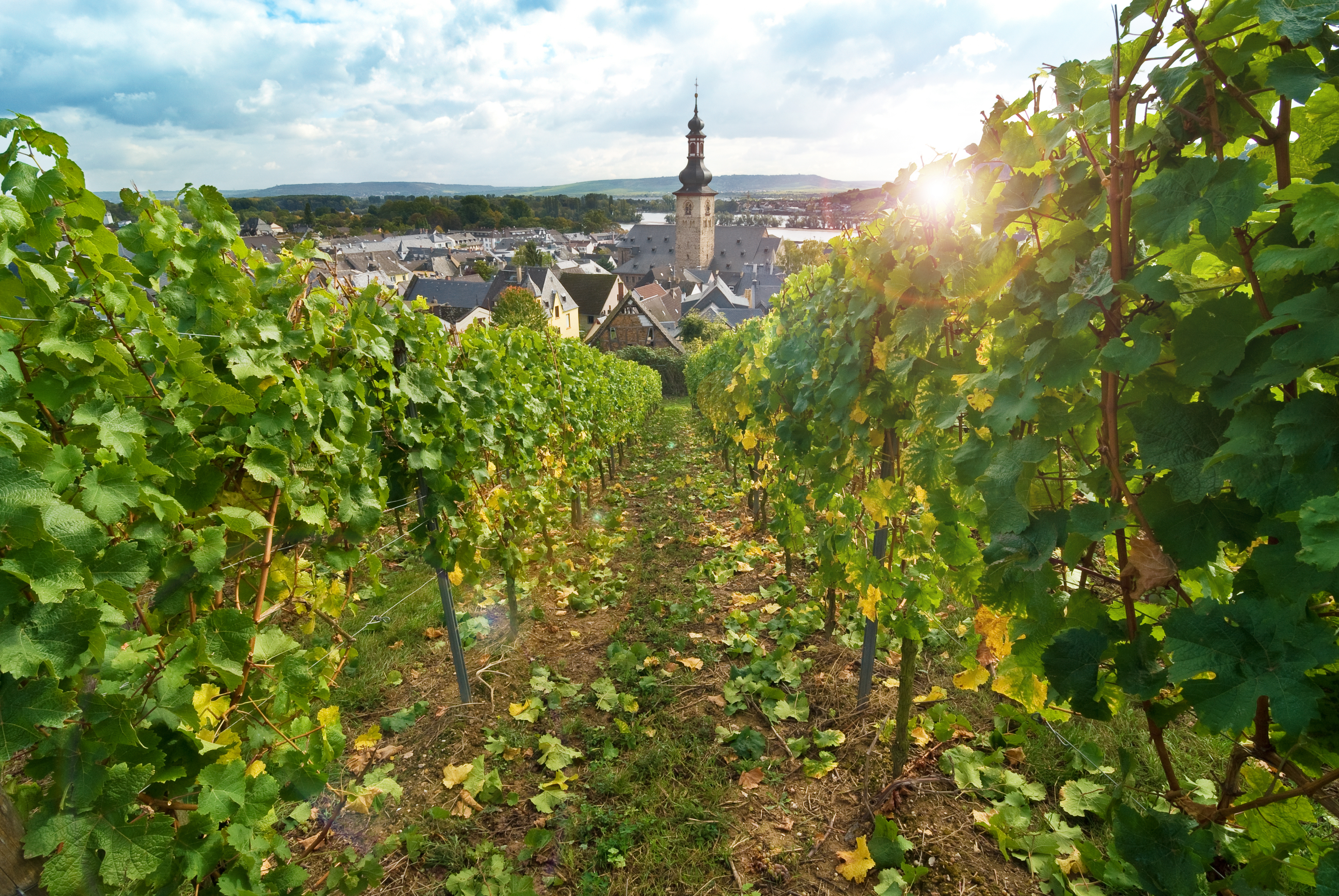 Rhine, Strasbourg & Heidelberg River Cruise