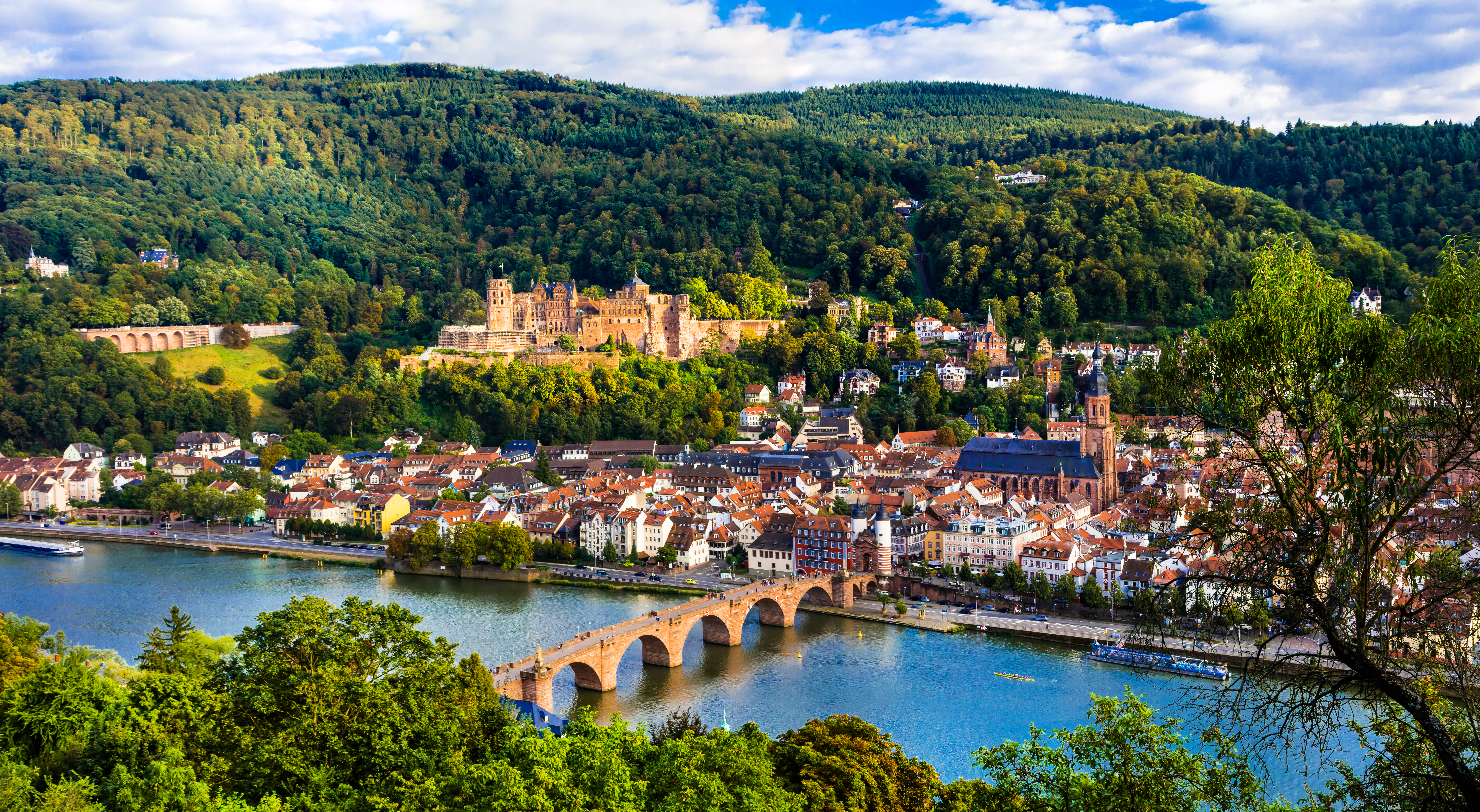 Rhine, Strasbourg and Heidelberg River Cruise for solo travellers