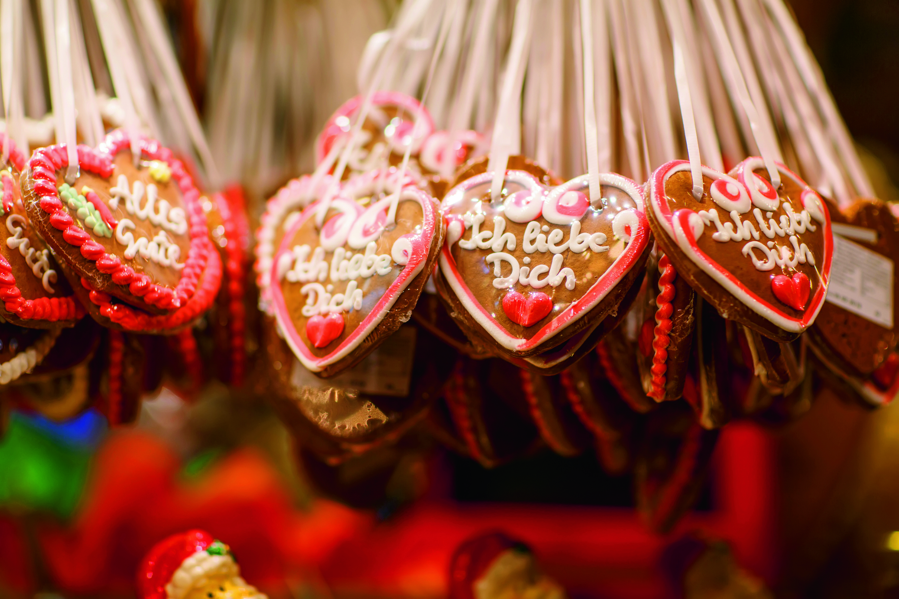 Enchanting Rhine and Yuletide Markets River Cruise for solo travellers