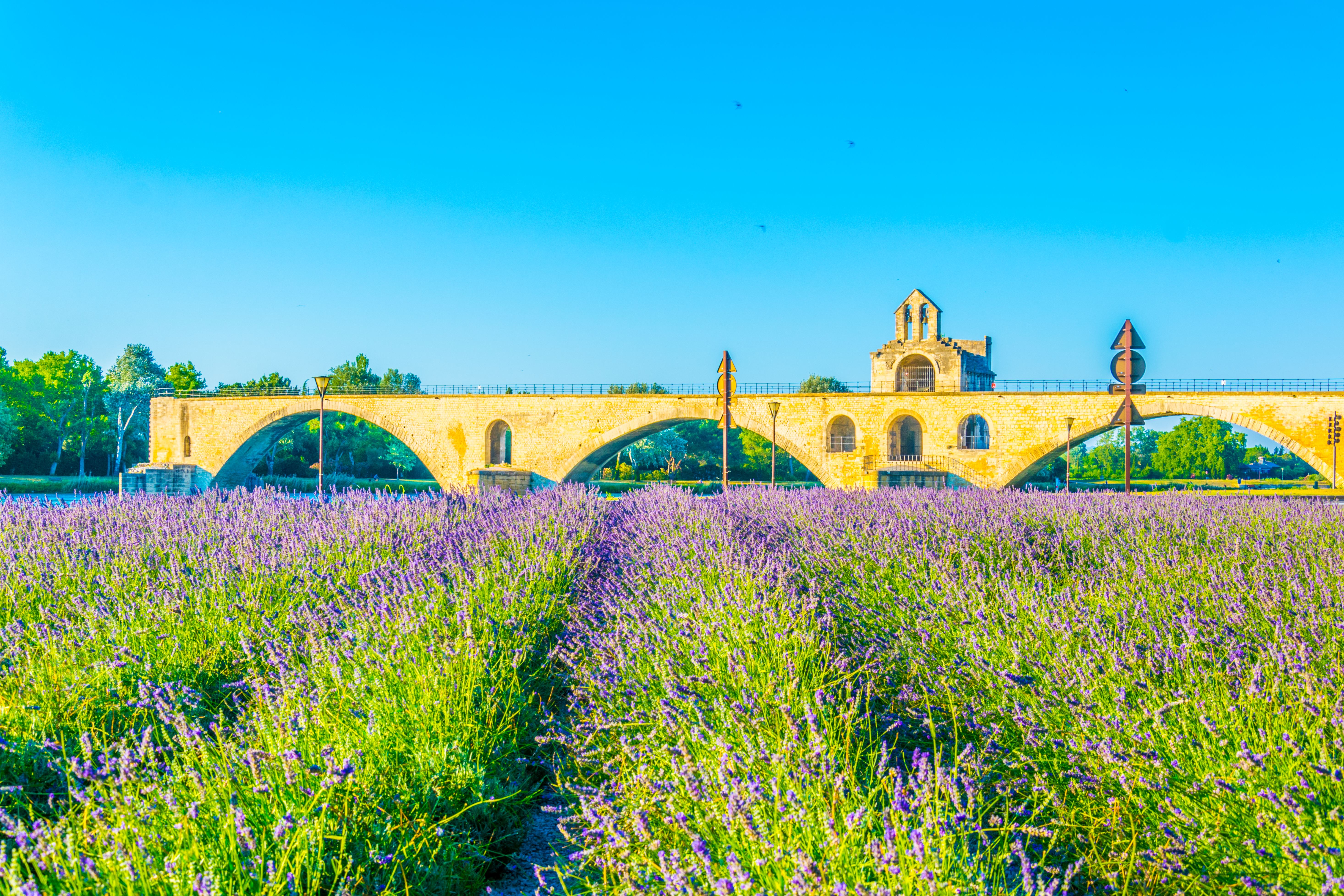 Gardens and Natural Beauty of the Rhône