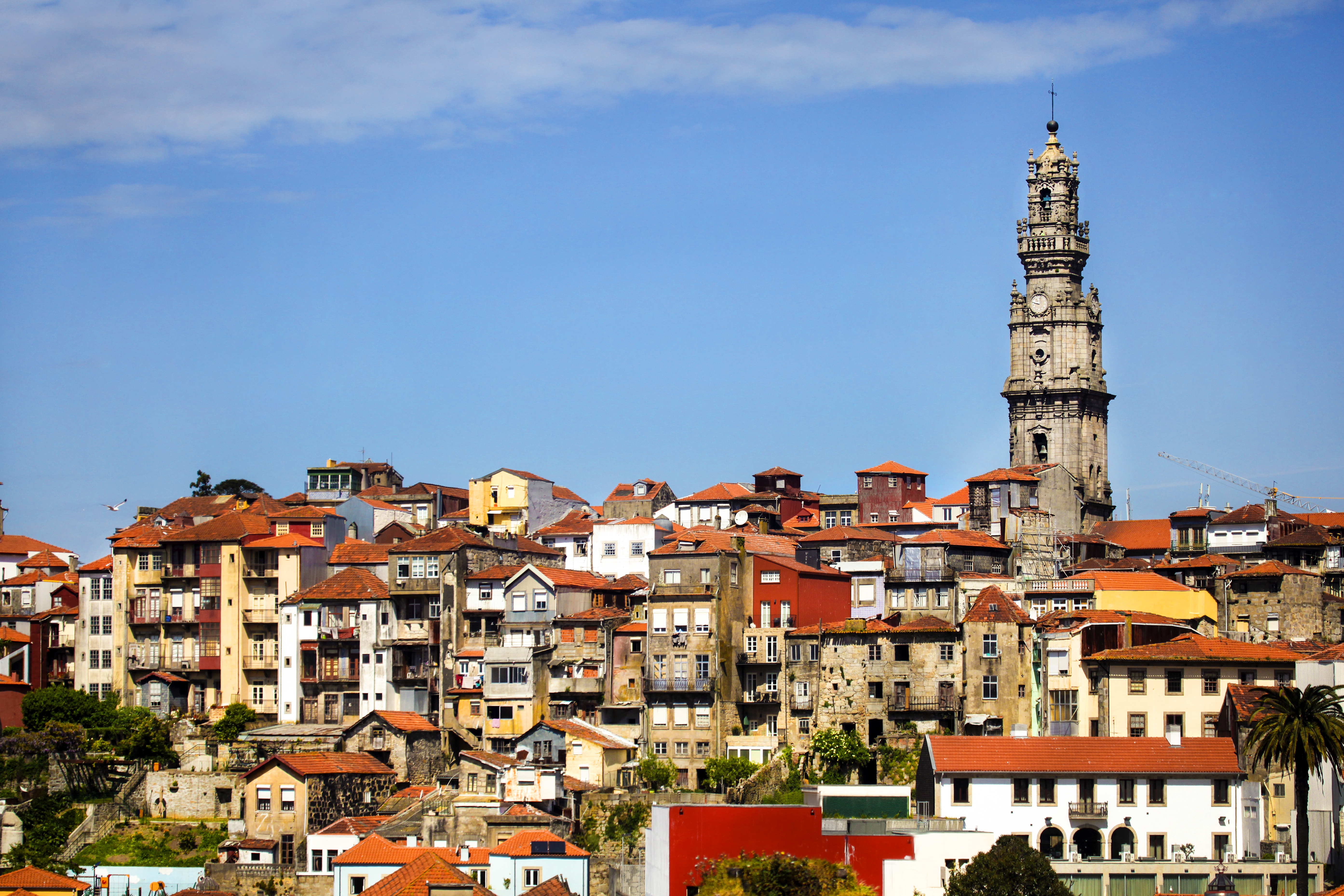 Douro, Porto and Salamanca River Cruise with Porto Extension