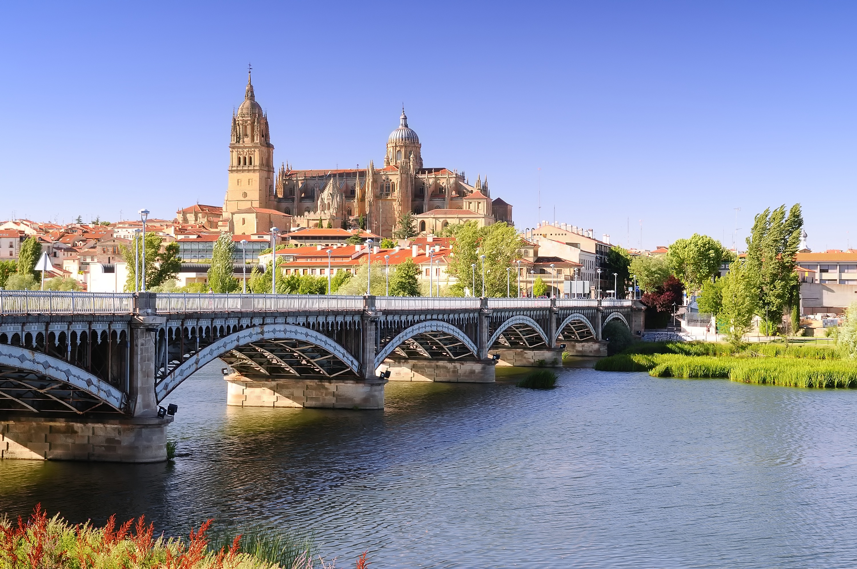 The Douro, Porto and Salamanca River Cruise