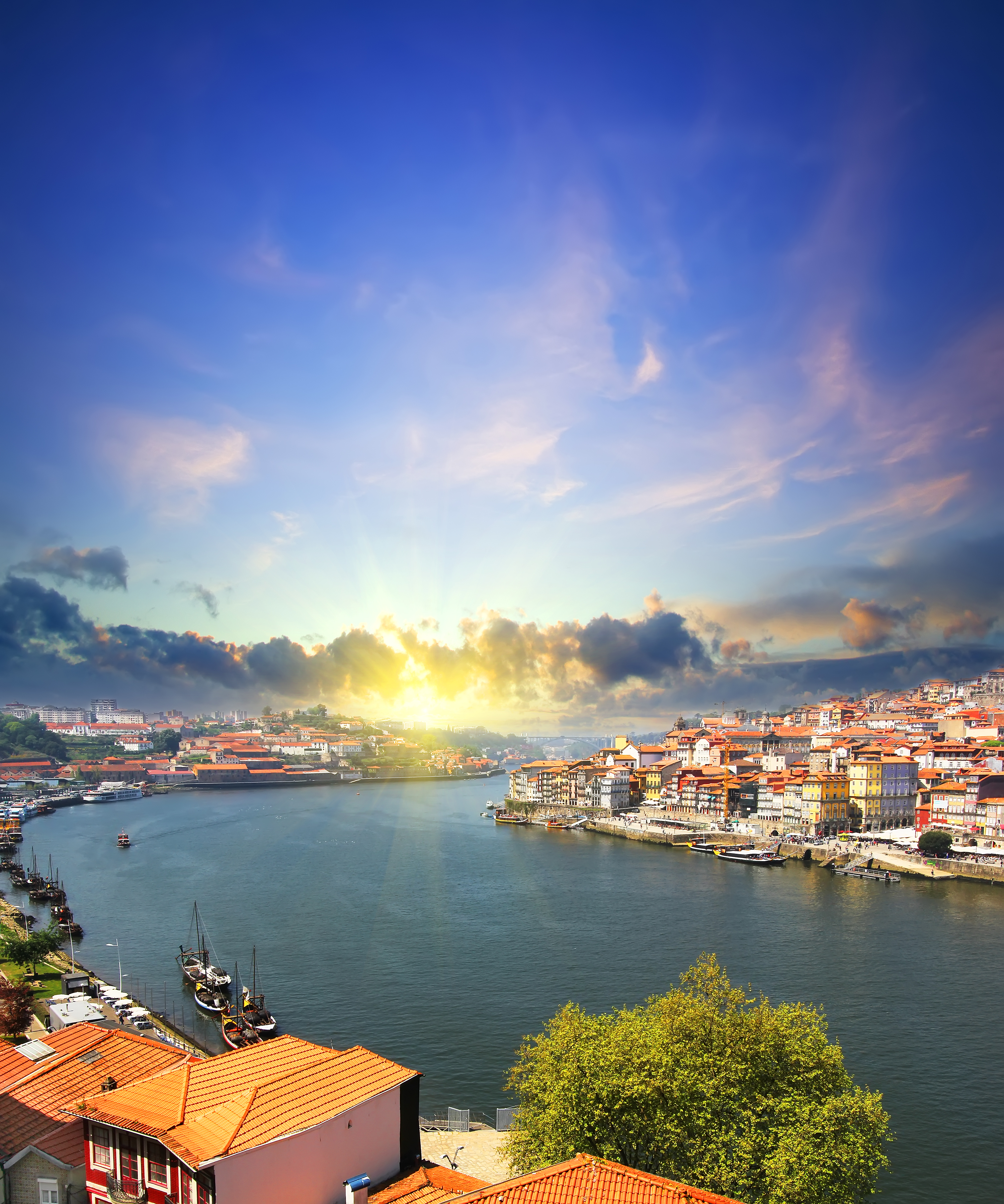 Douro, Porto and Salamanca River Cruise for solo travellers