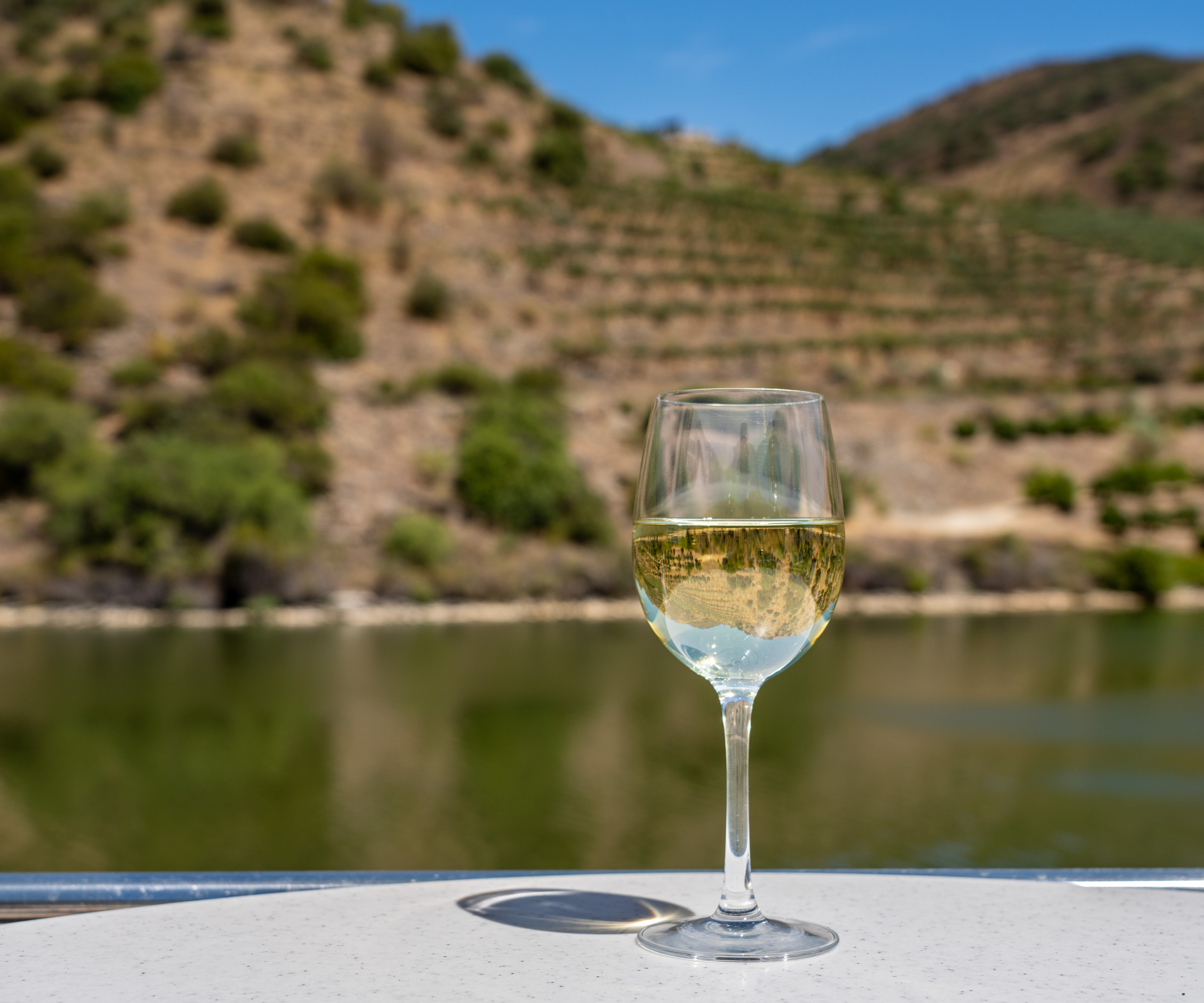 Gastronomy of the Douro – from Portugal to Spain