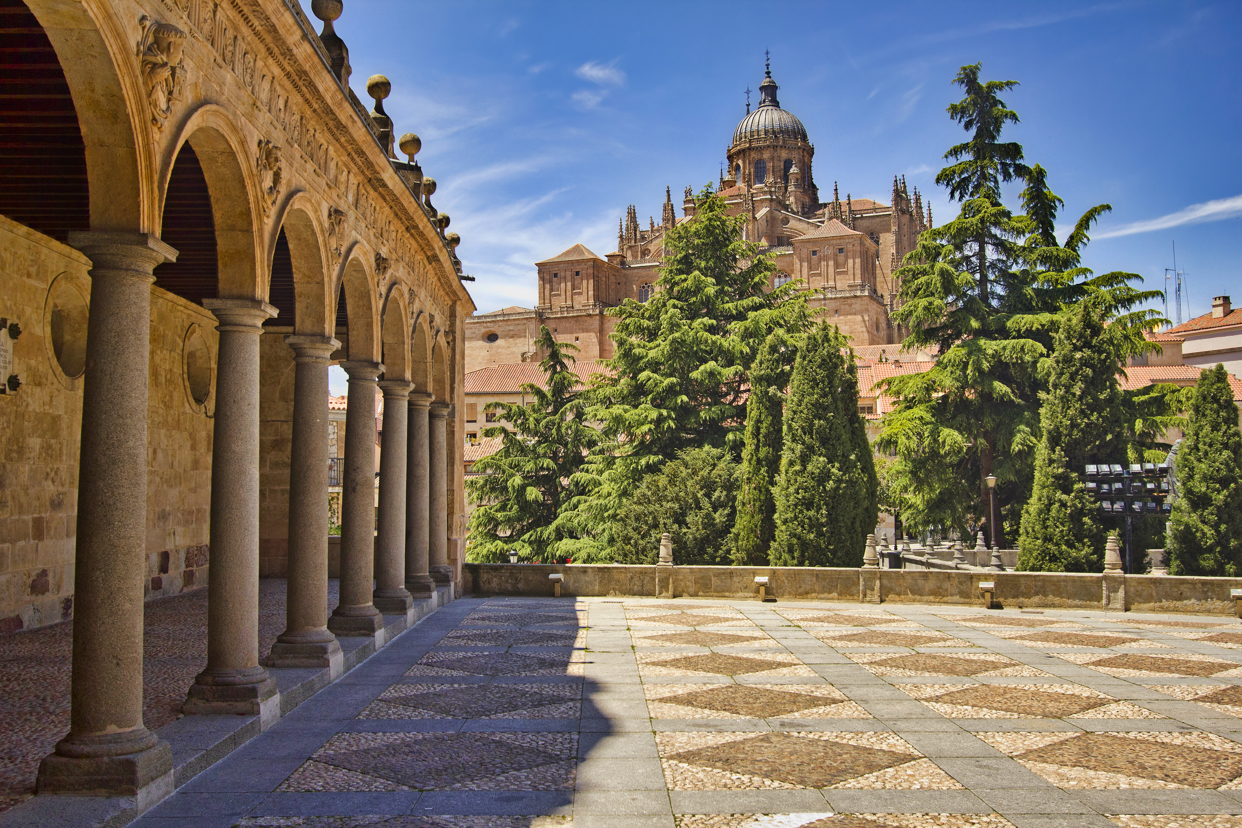Highlights of the Douro Valley & Salamanca River Cruise