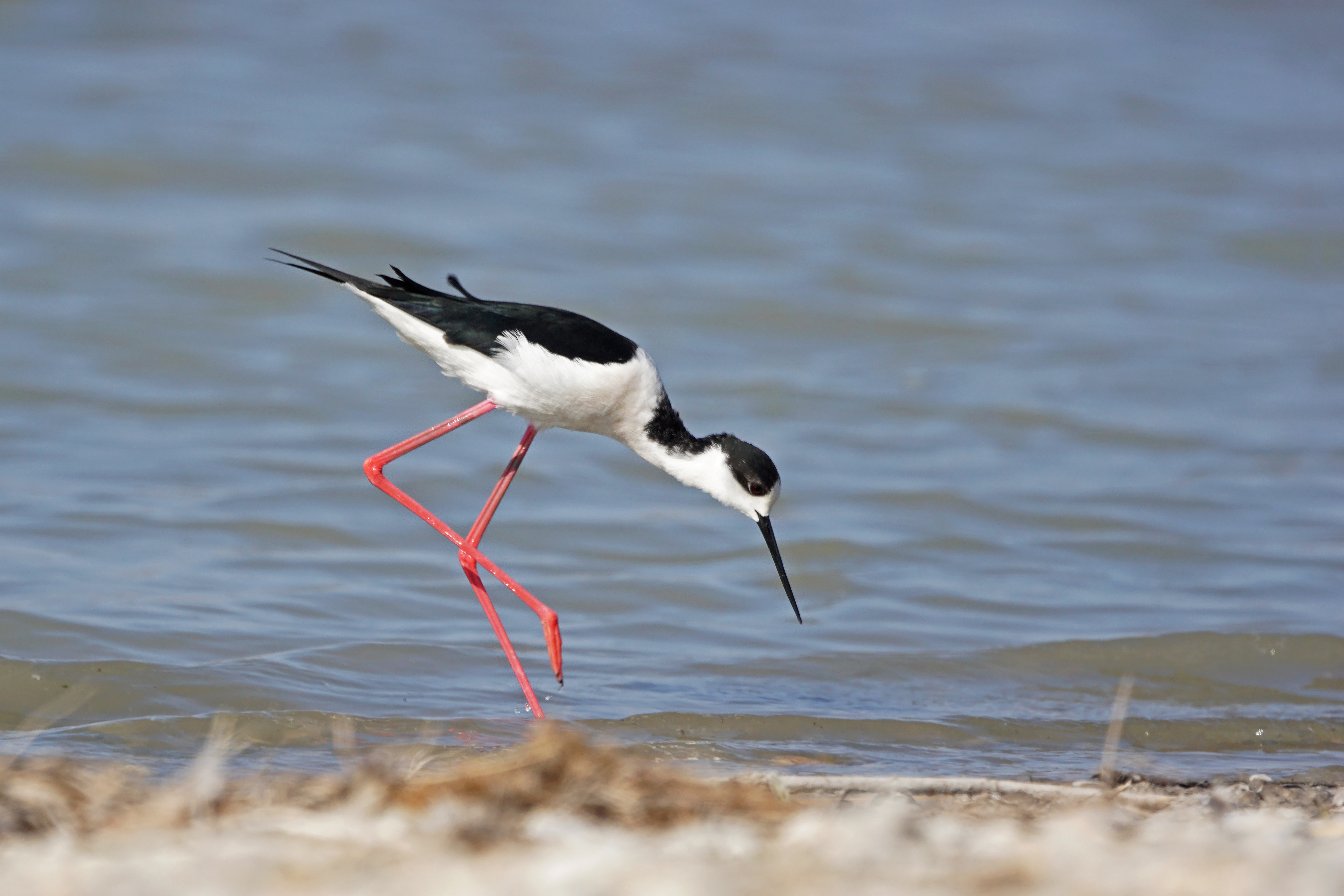 The Blue Danube River Cruise with Vienna Extension