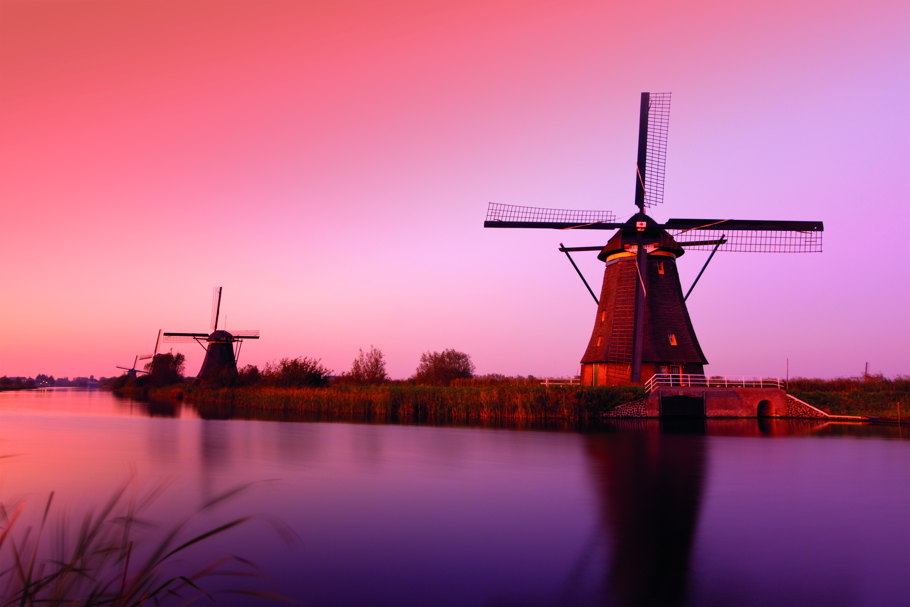 Amsterdam, Kinderdijk and the Dutch Bulbfields River Cruise for solo travellers