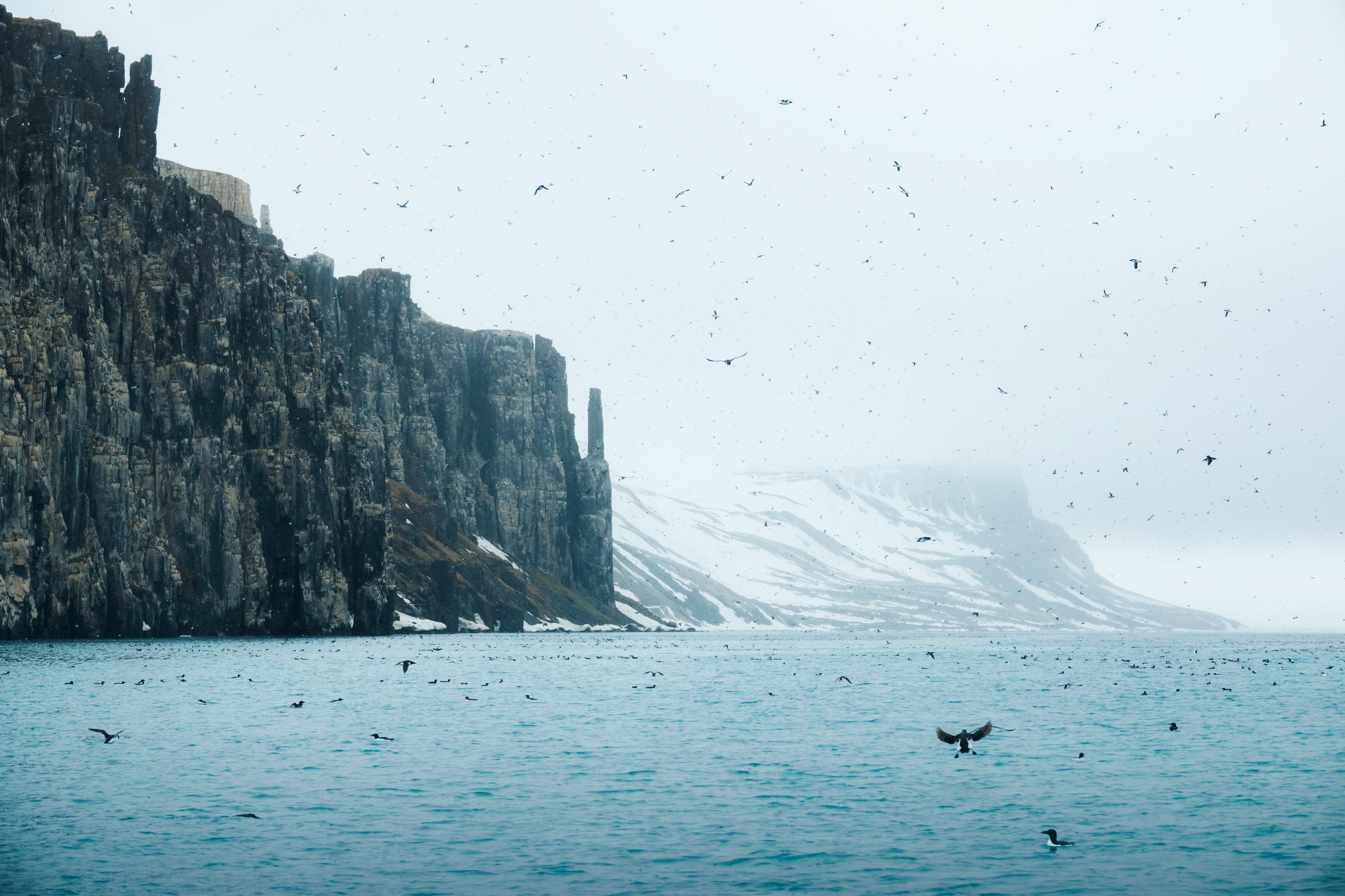 Svalbard Summer Micro Cruise