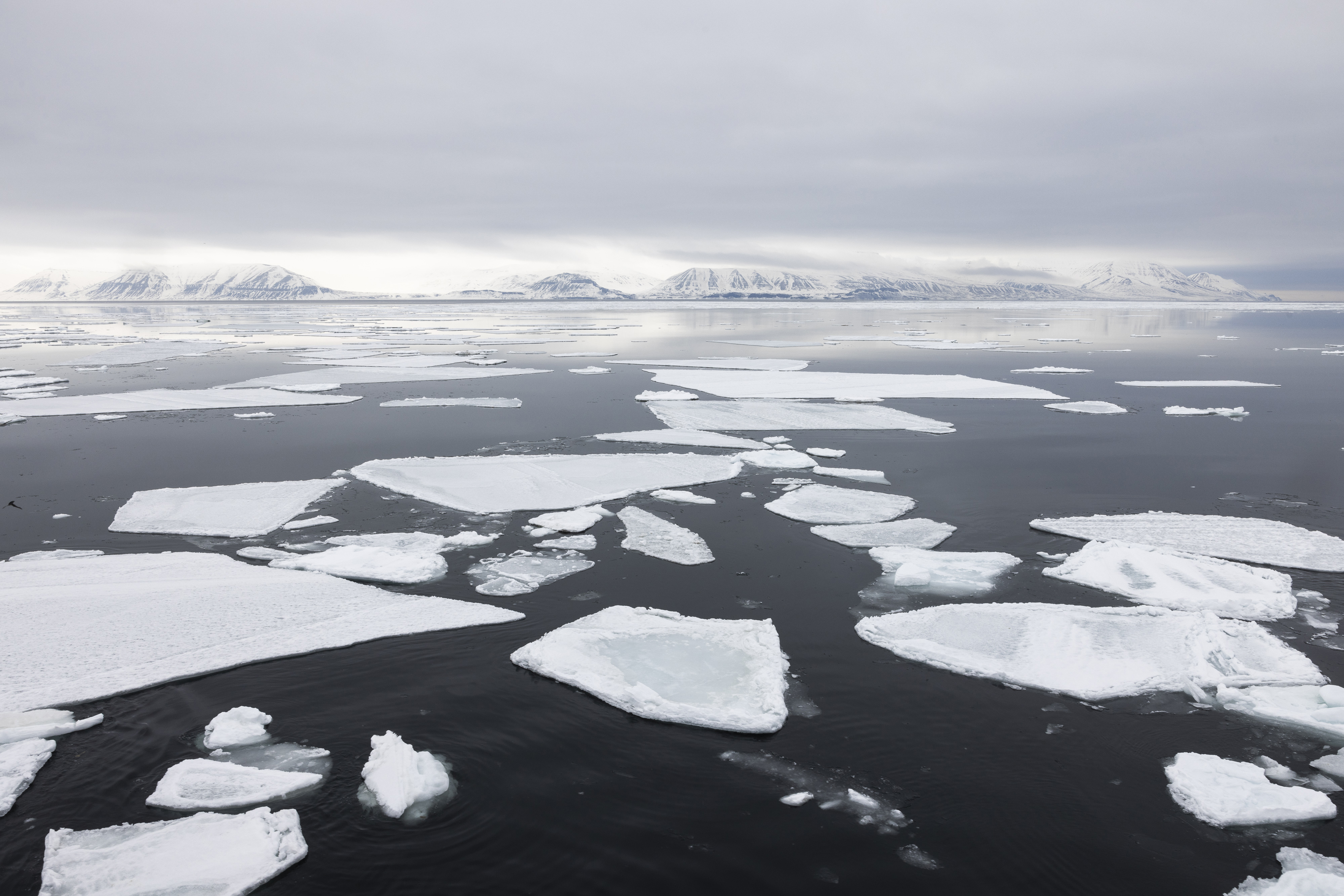 Svalbard Summer Micro Cruise