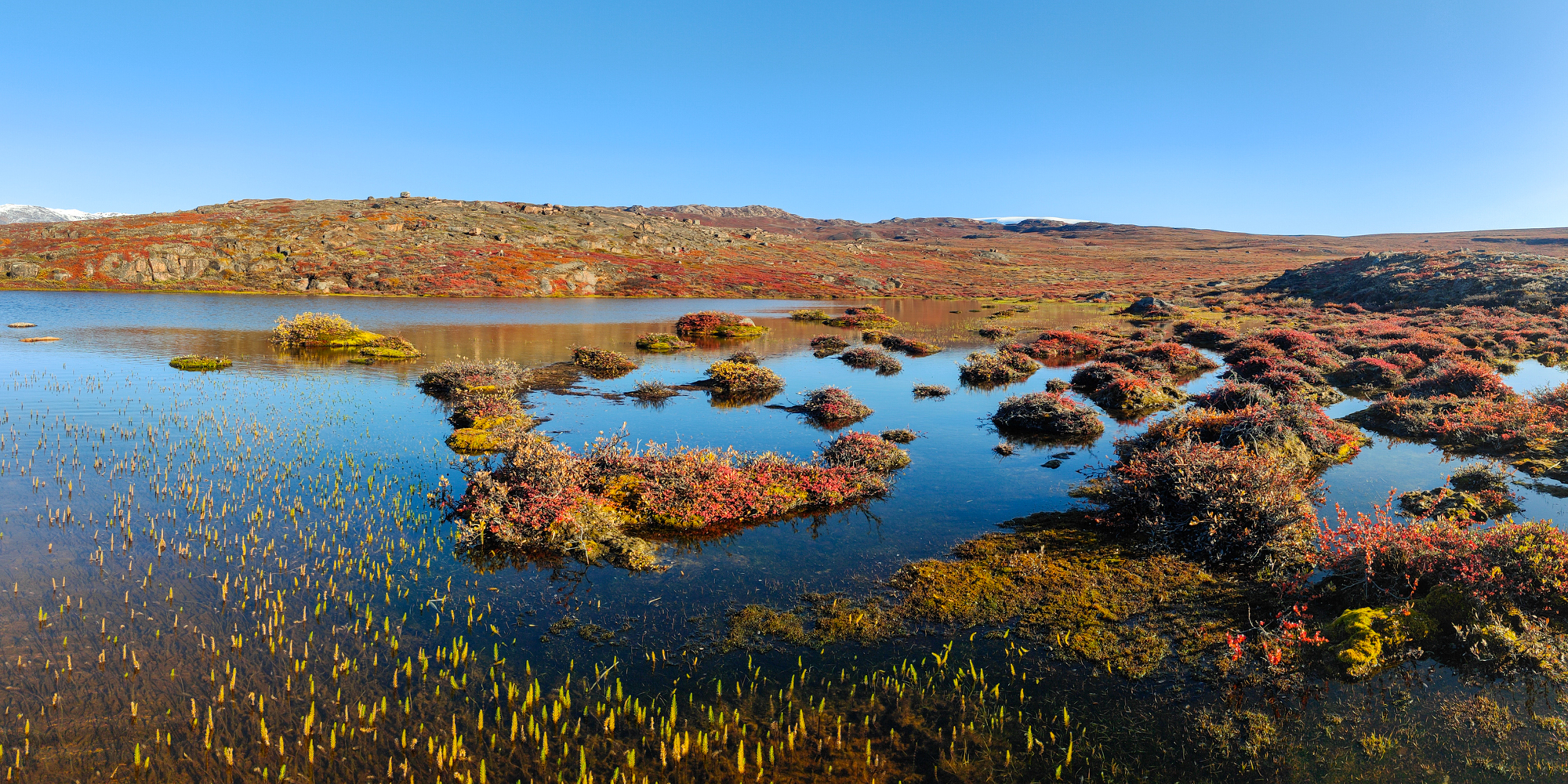 Northeast Greenland National Park Micro Cruise