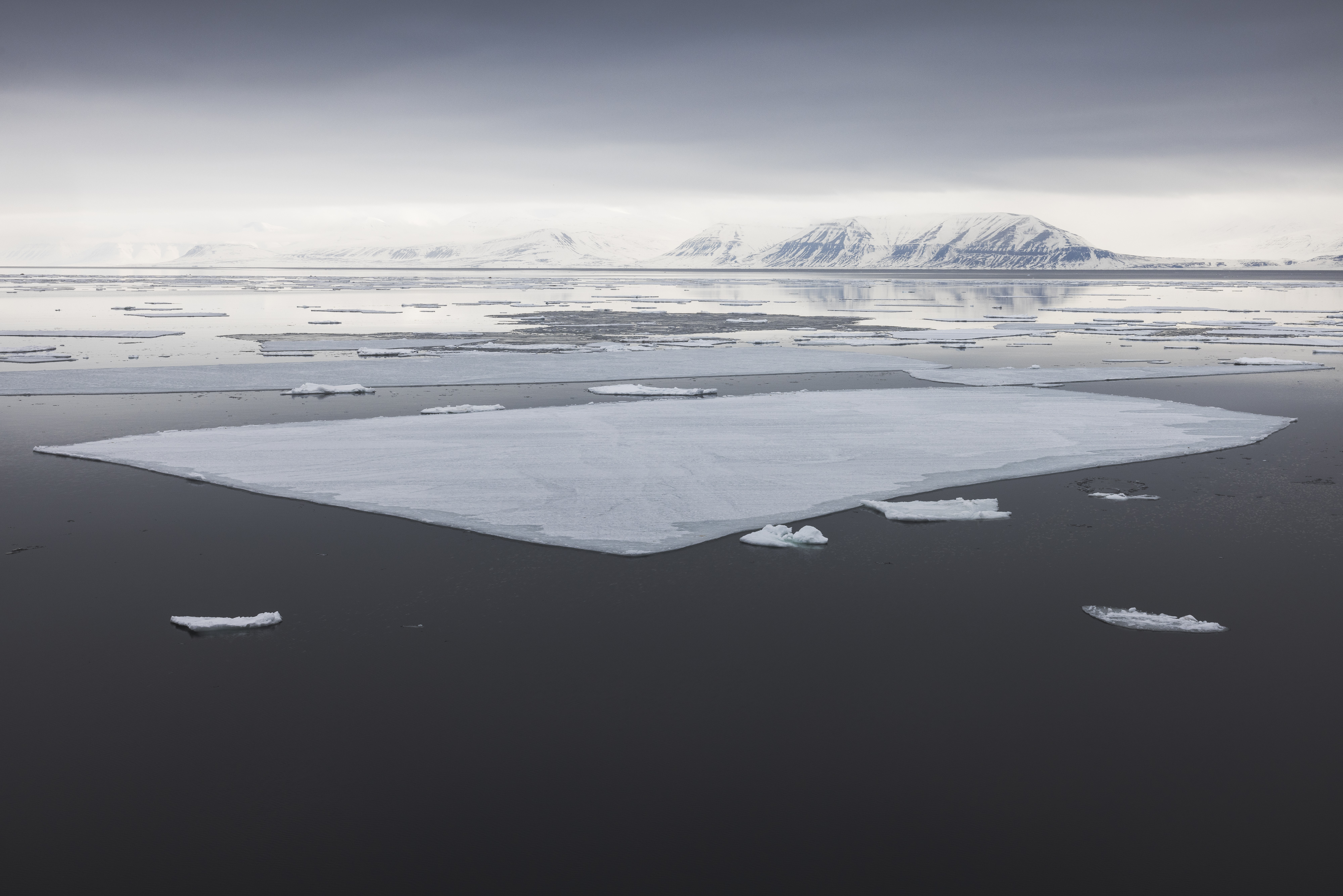 Svalbard Spring Photo Tour w/ Dean Tatooles