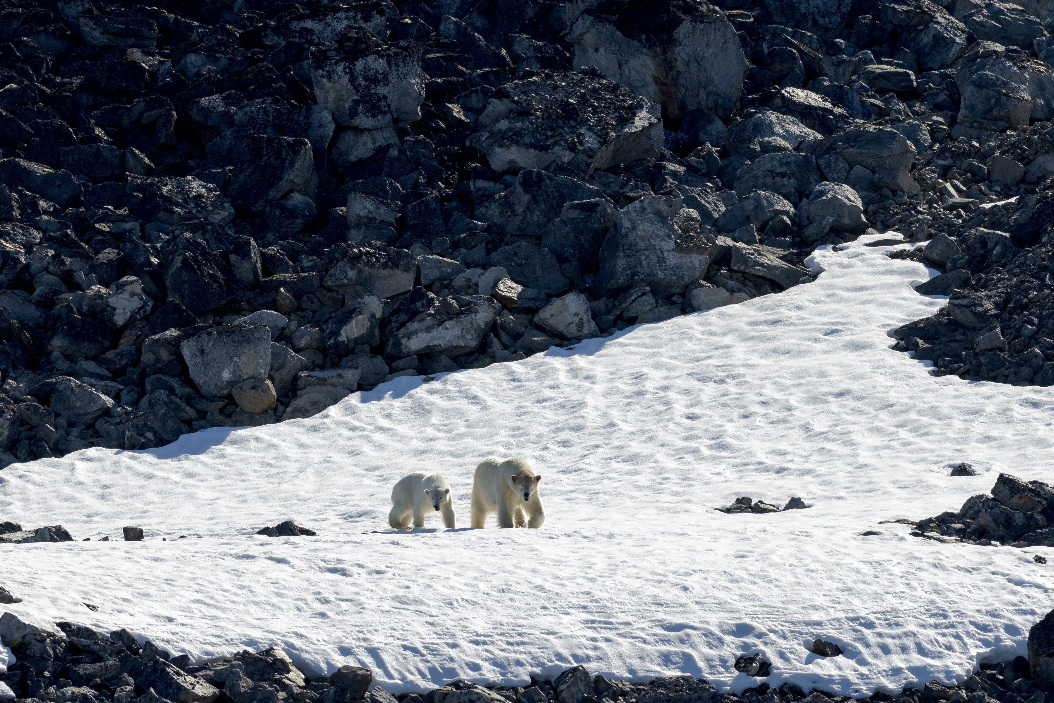 Svalbard Spring Photo Tour w/ Dean Tatooles