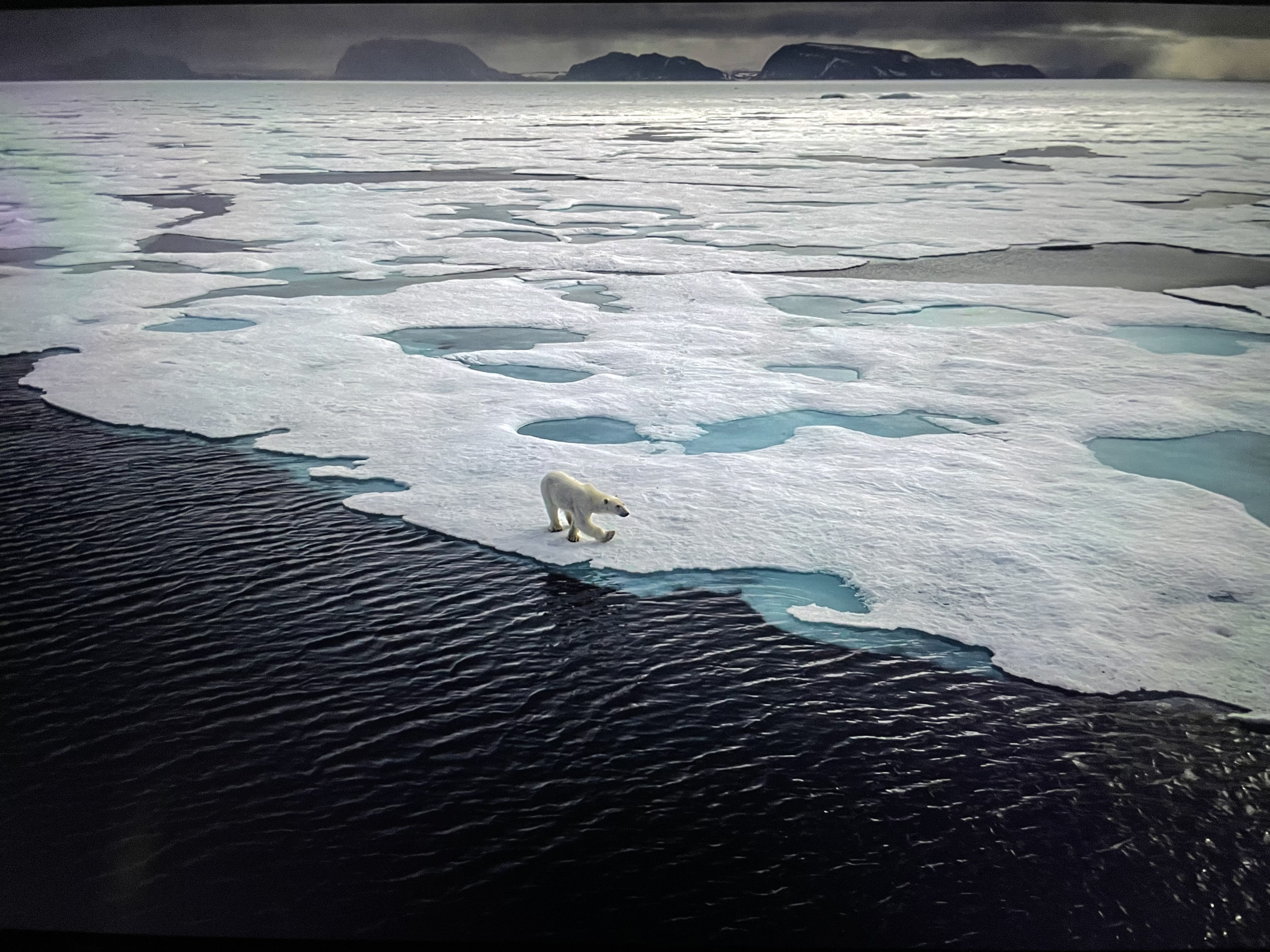 Svalbard Summer Photo Tour w/ Paul Goldstein