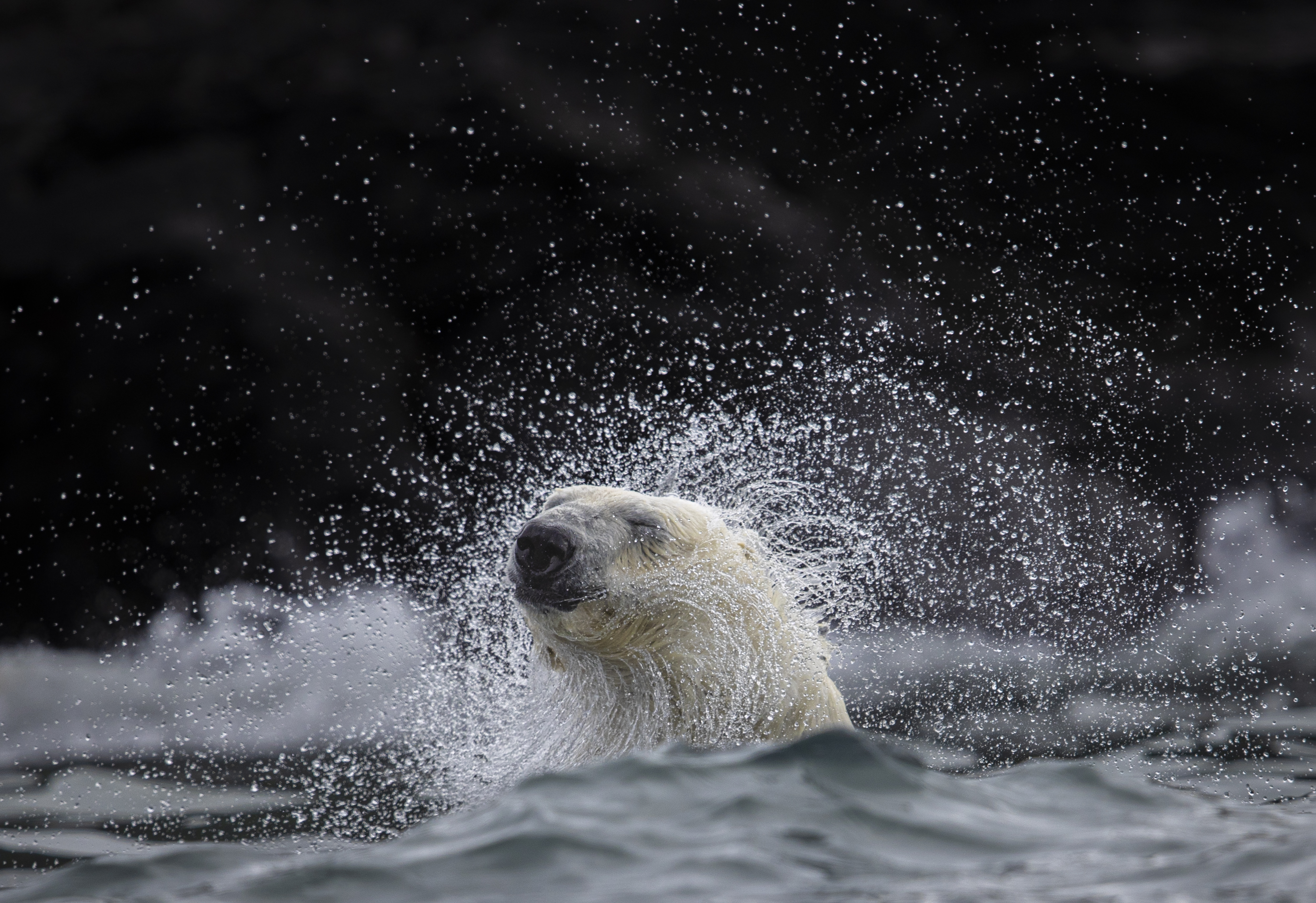 Svalbard Summer Photo Tour w/ Paul Goldstein