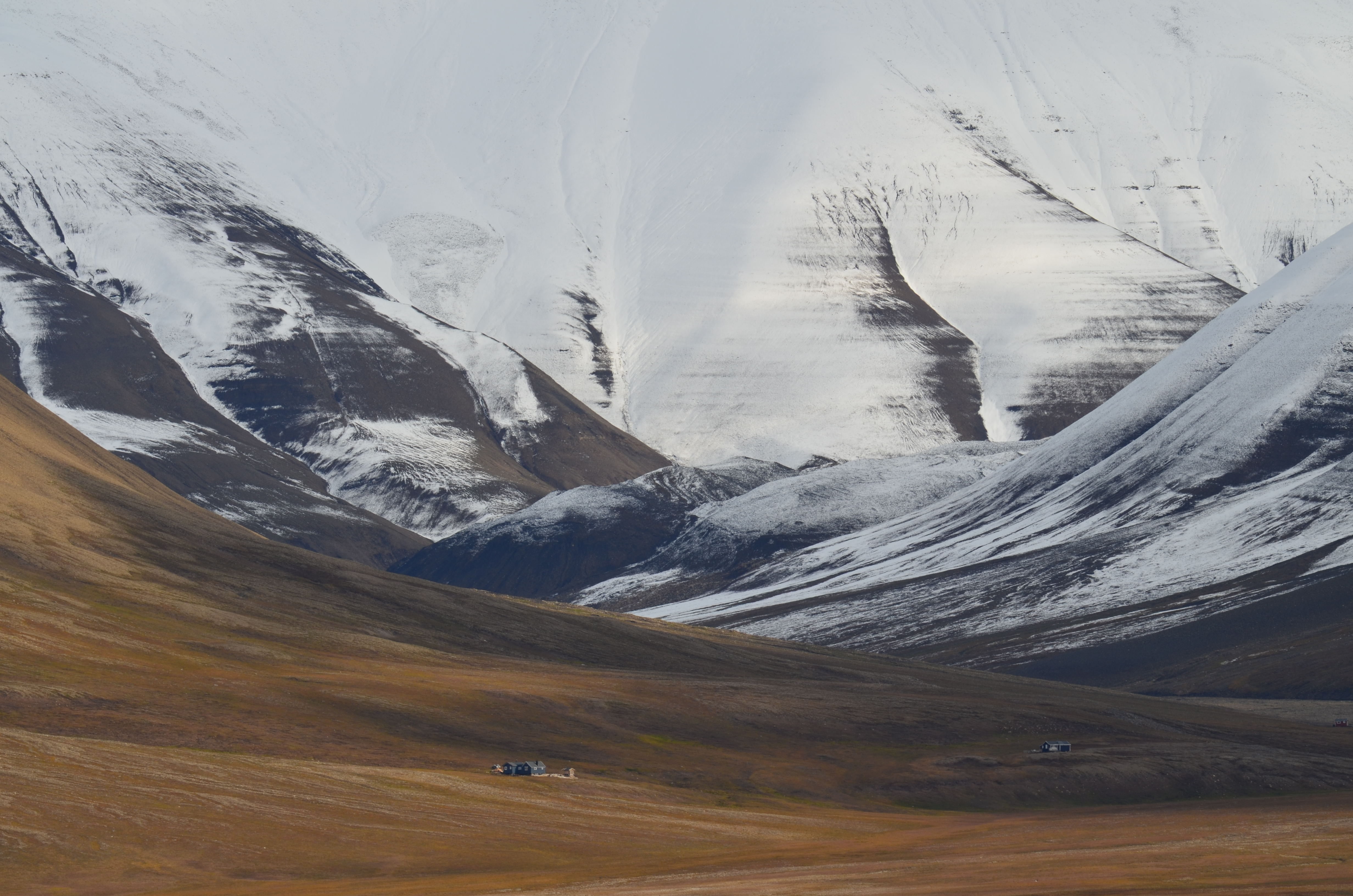Svalbard Summer Photo Tour w/ Randy Hanna