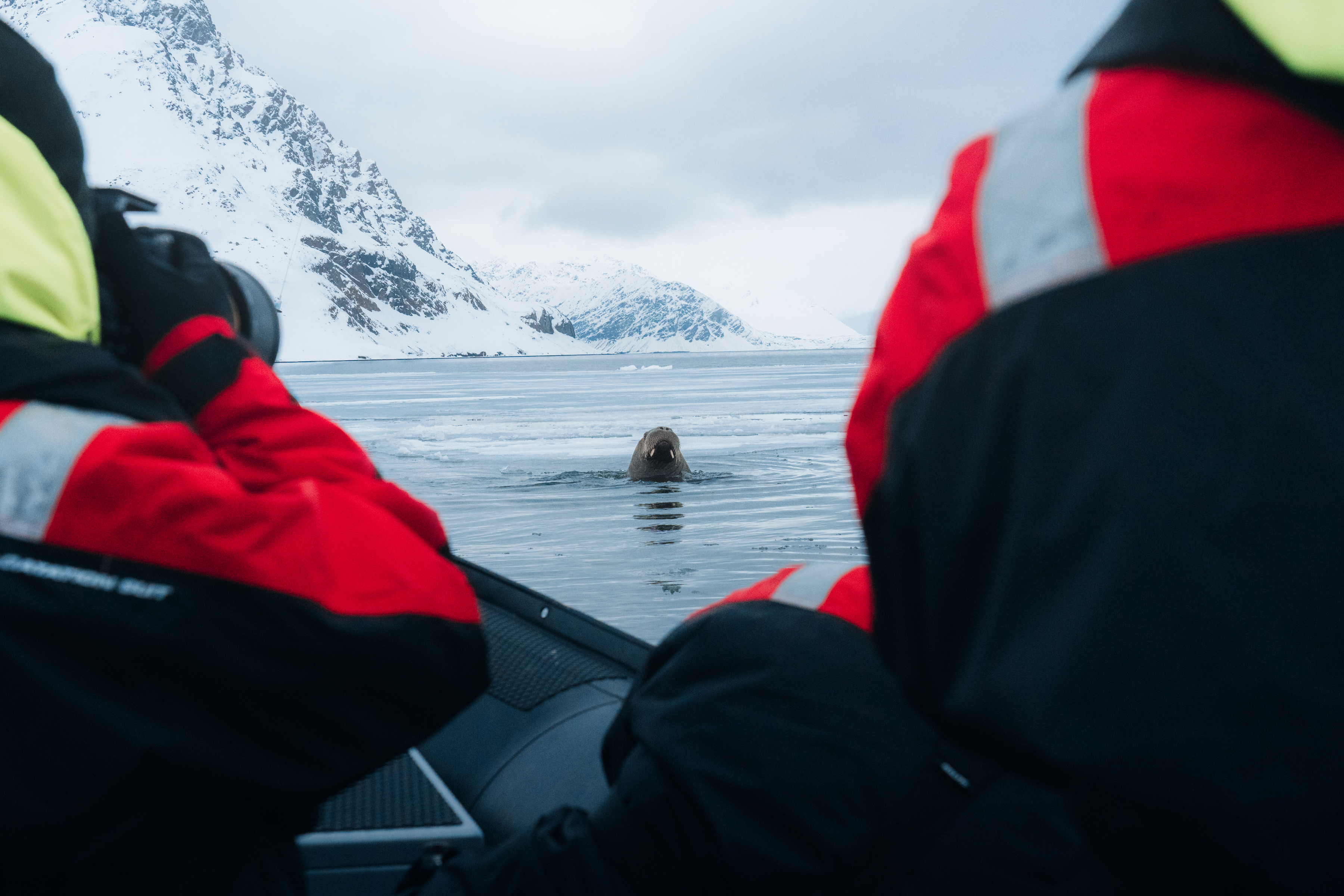 Svalbard Spring Micro Cruise