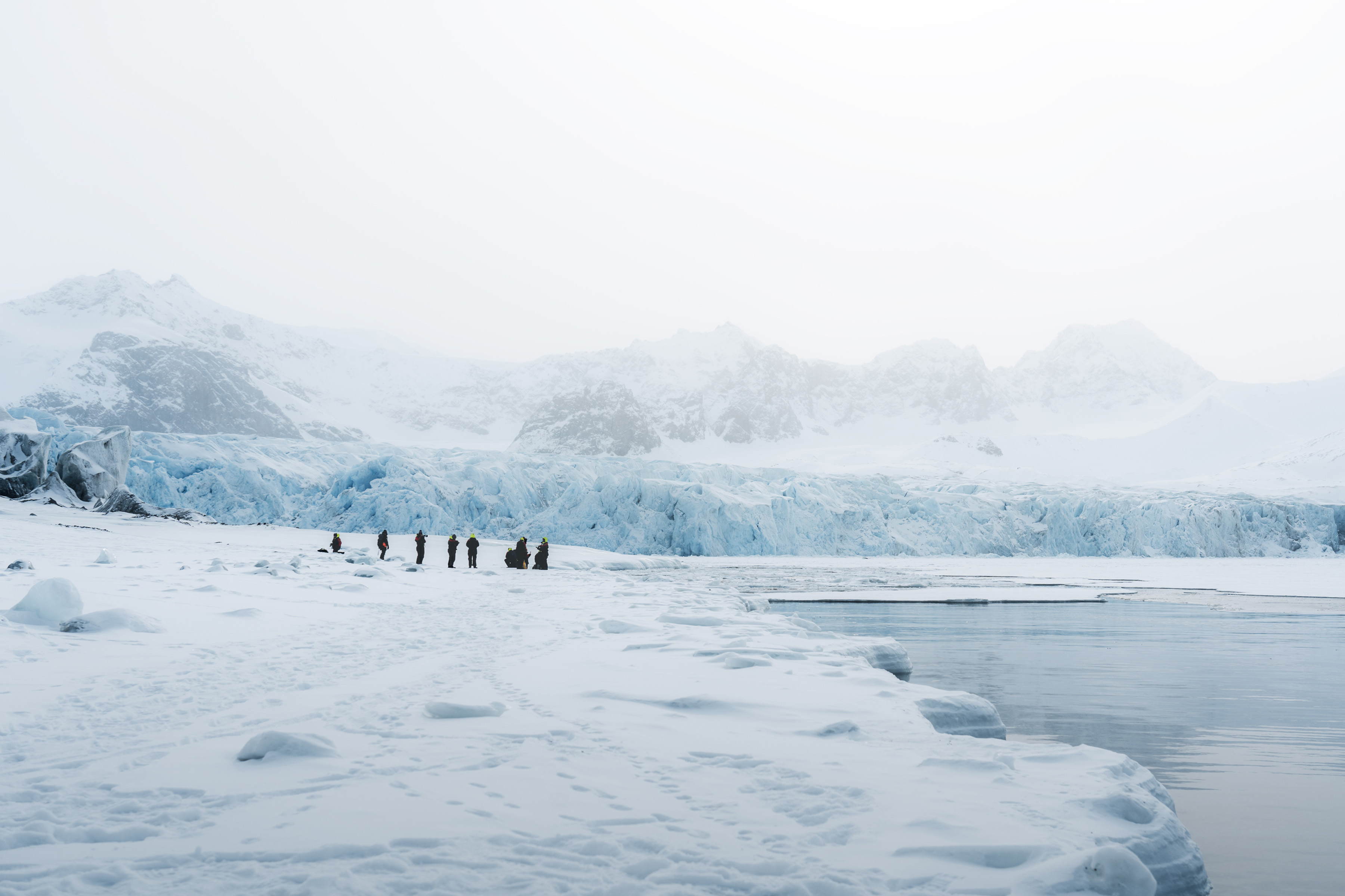 Svalbard Spring Lite Photo Tour w/Carlos Monforte